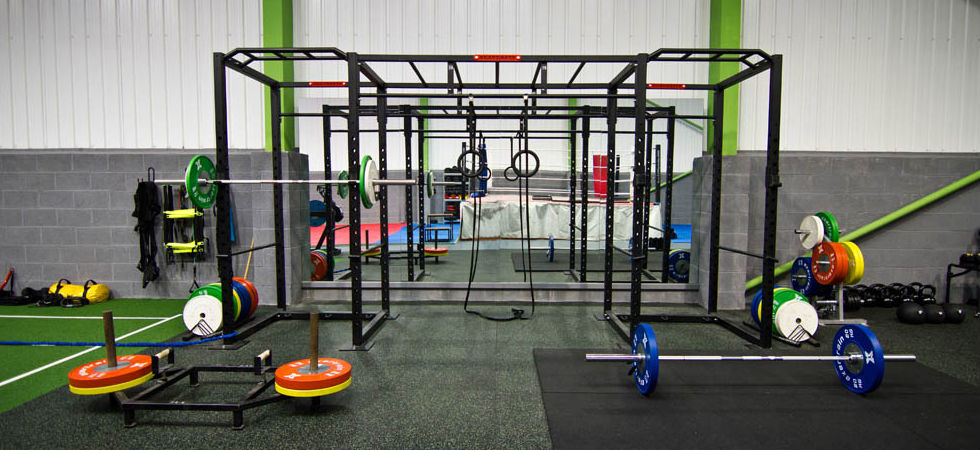crusader lite functional training rig at rig fitness